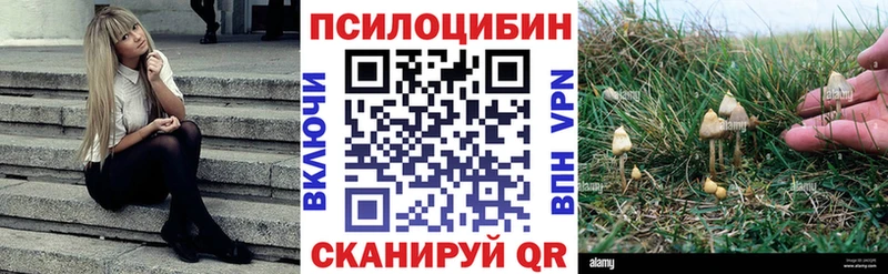 Галлюциногенные грибы ЛСД  Балабаново 