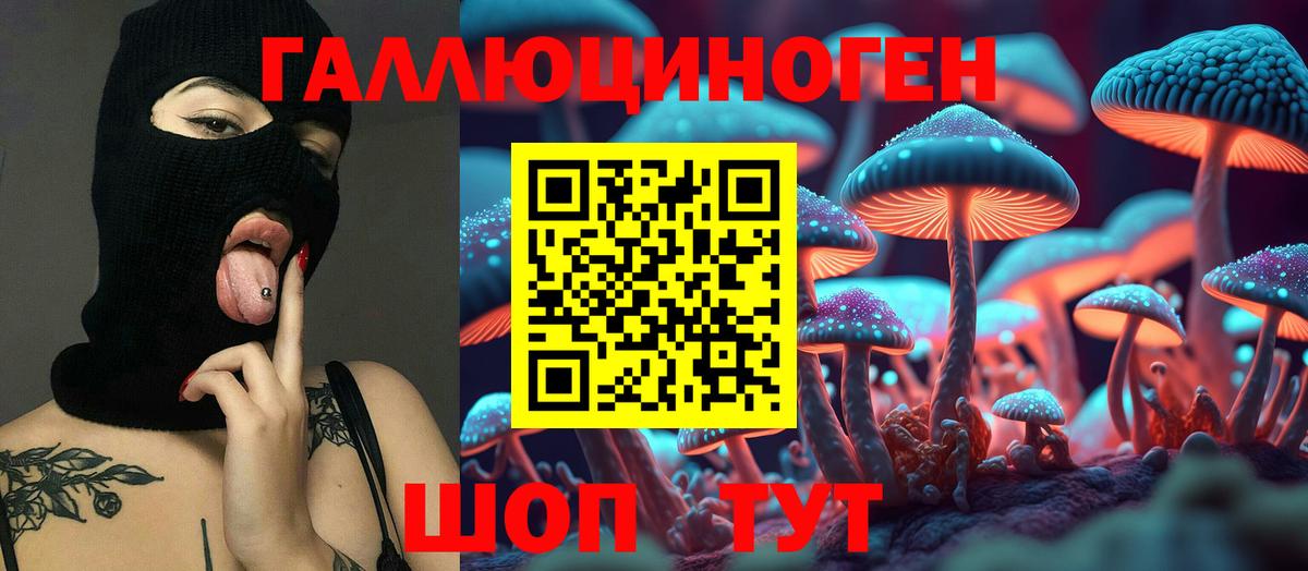 Балабаново  Псилоцибиновые грибы Cubensis  Вход с VPN 