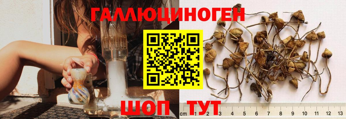 Галлюциногенные грибы GOLDEN TEACHER Балабаново